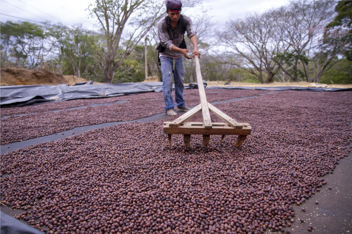 Nicaragua Bethania Filter